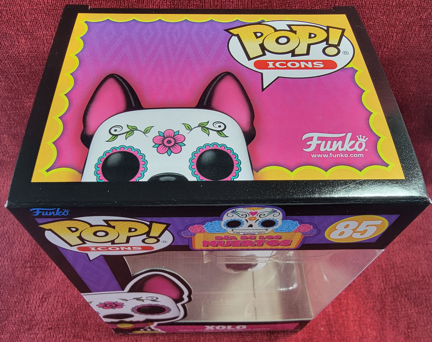 Xolo funko # 85 (nib)
With pop protector
