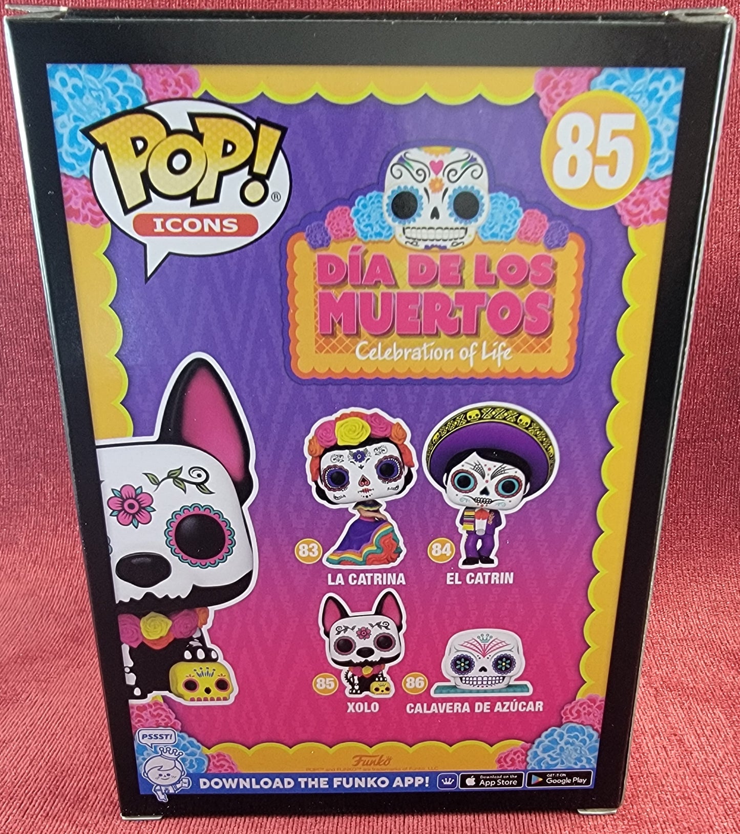 Xolo funko # 85 (nib)
With pop protector