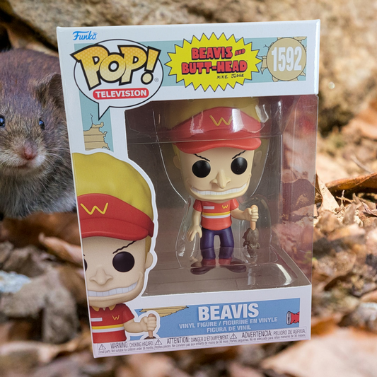 Beavis funko # 1592 (nib)
With pop protector