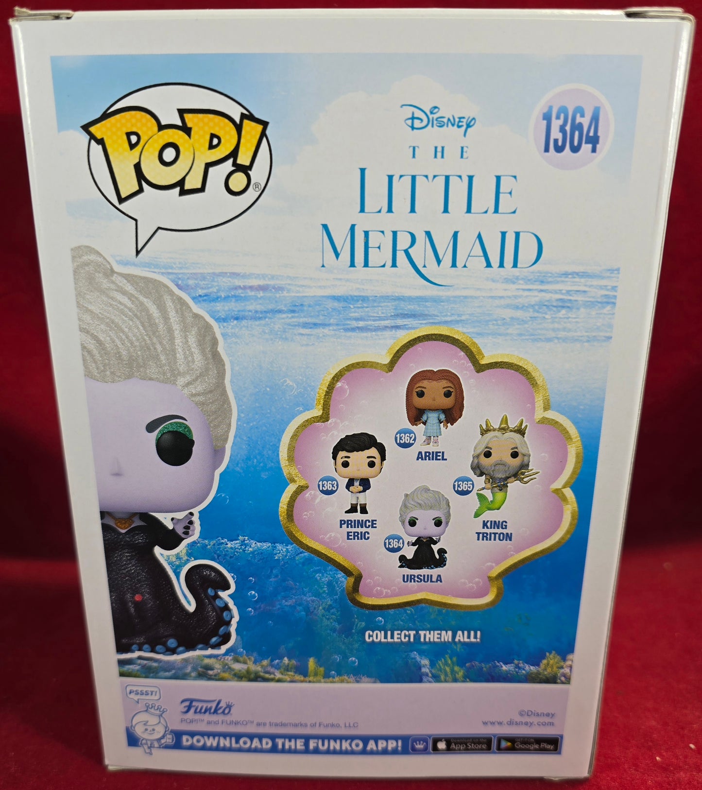 Ursula Bam Exclusive funko # 1364 (nib) With pop protector