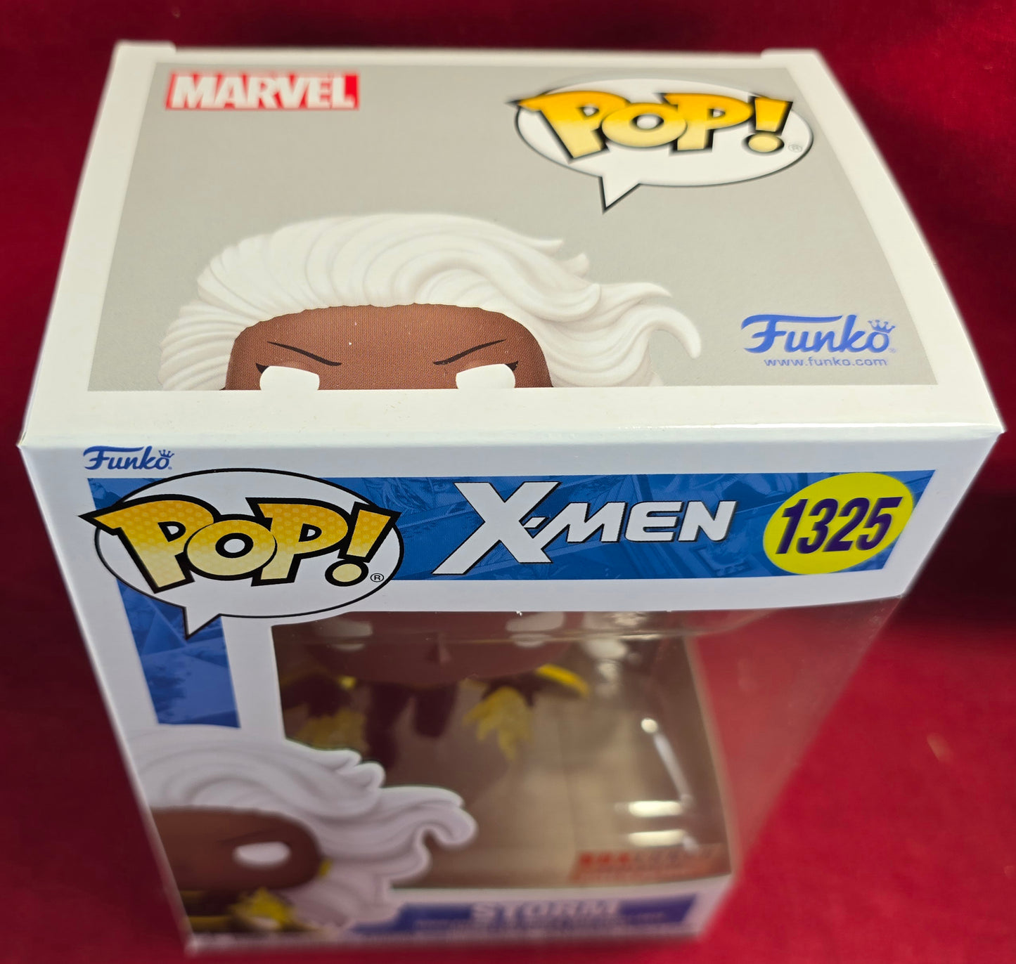 Storm box lunch exclusive # 1325 (nib) With pop protector
