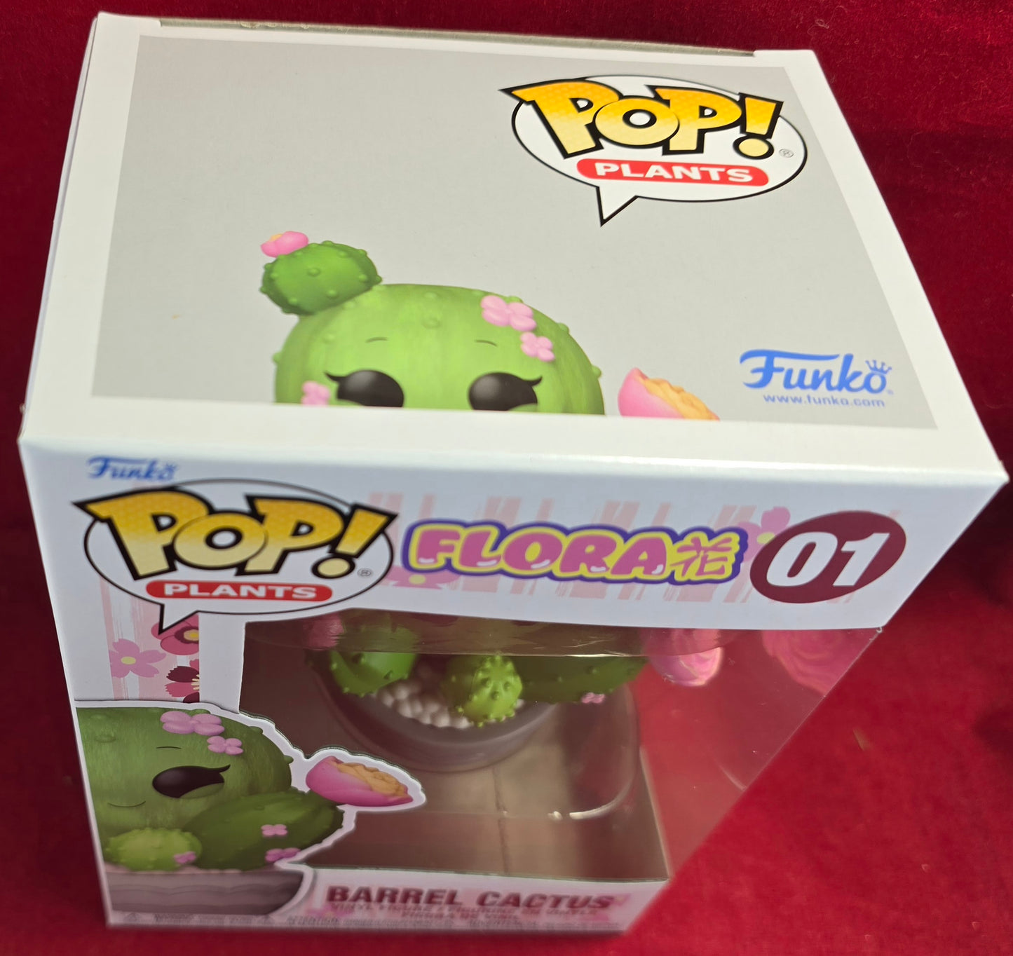 Barrel Cactus funko # 01 (nib) With pop protector