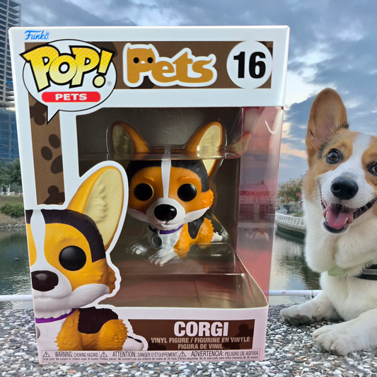Corgi Funko #16 (Nib)
With pop protector