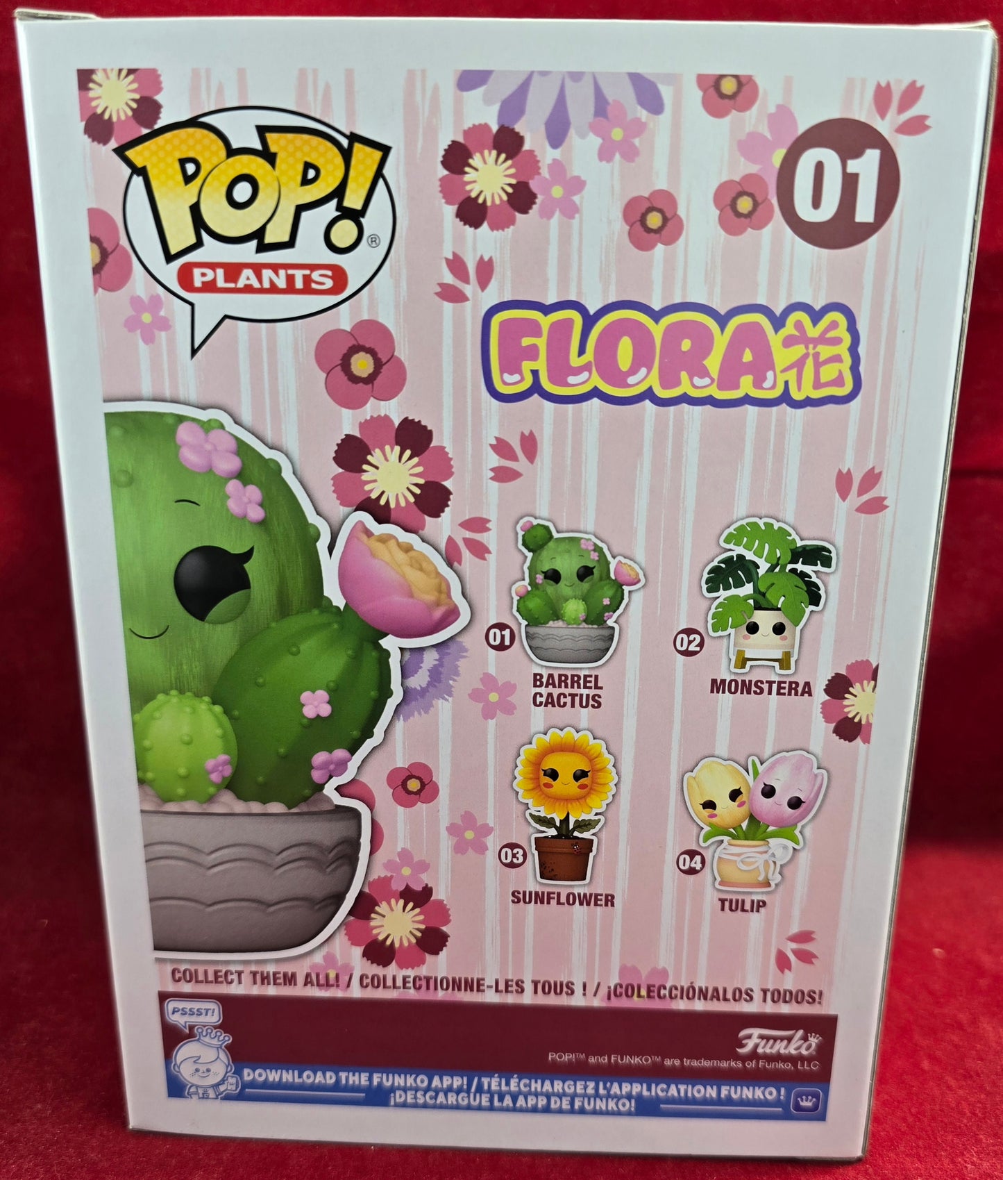 Barrel Cactus funko # 01 (nib) With pop protector