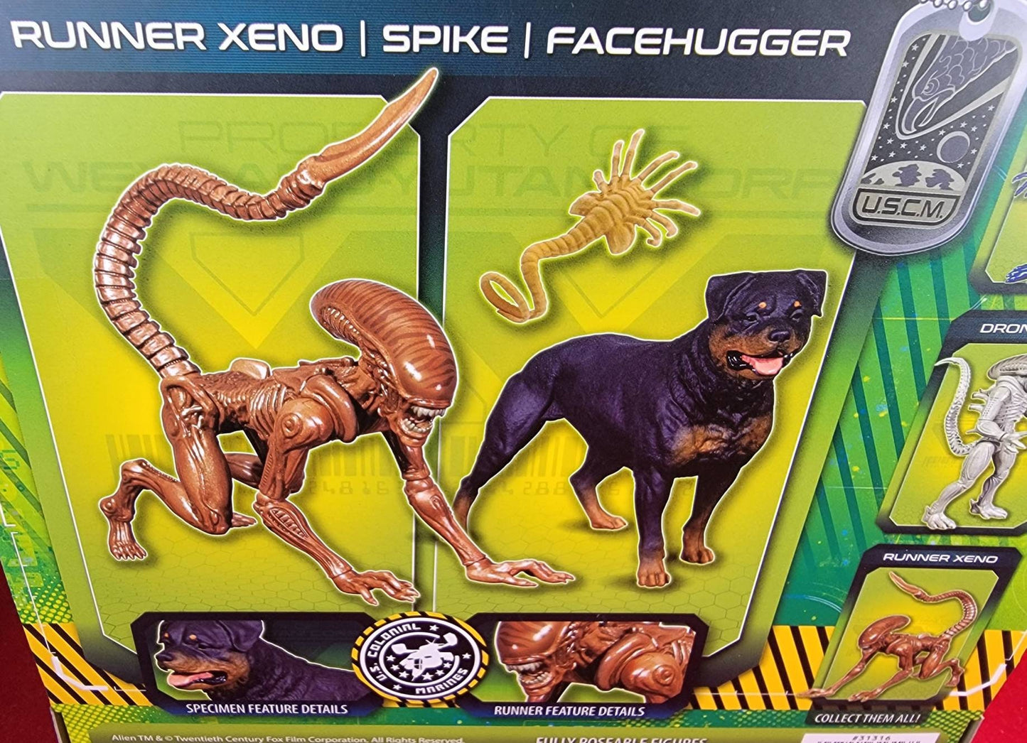 Xenomorph alien figure (nib)