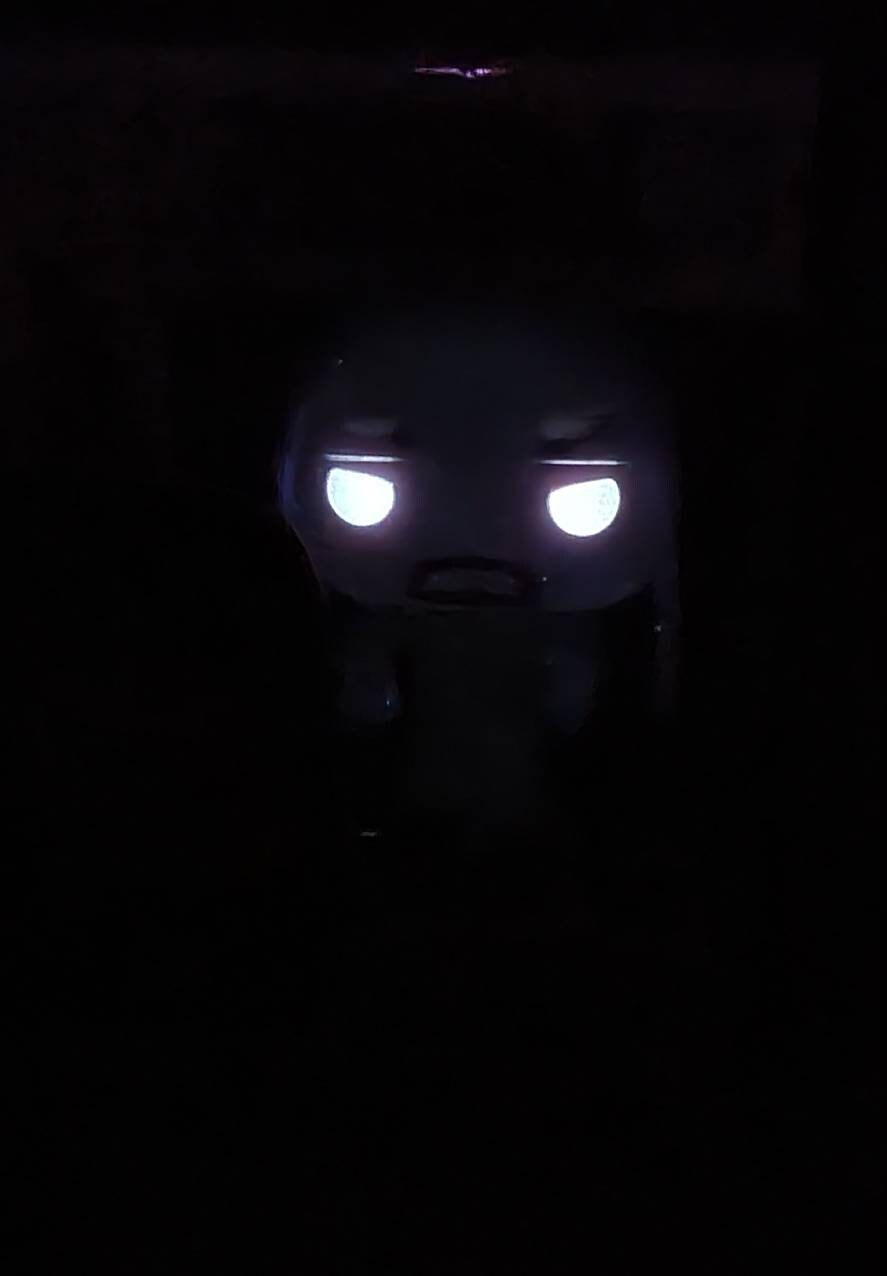 Undertaker wwe exclusive funko # 69 (nib)