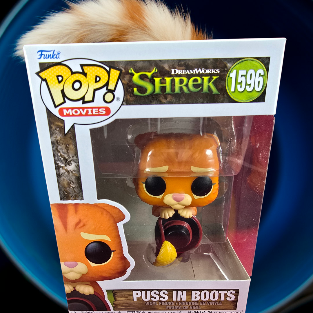 Puss in Boots Funko #1596 (Nib)
With pop protector