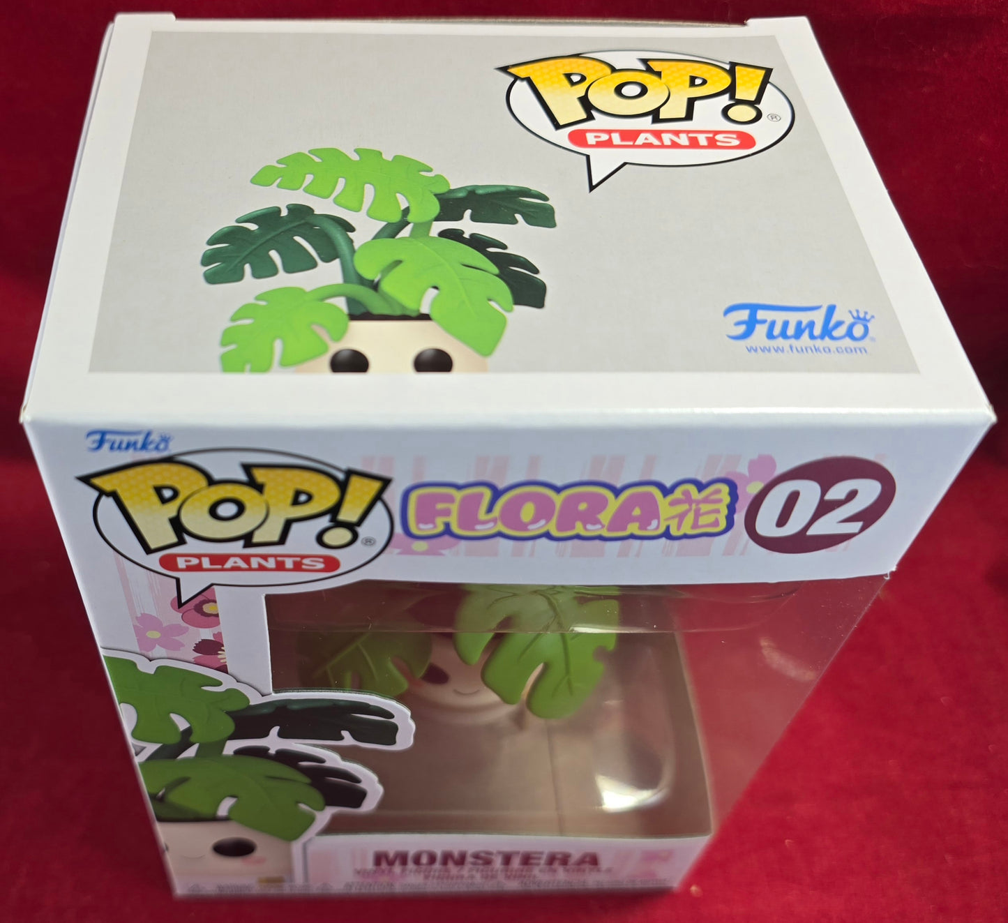Monstera funko # 02 (nib) With pop protector