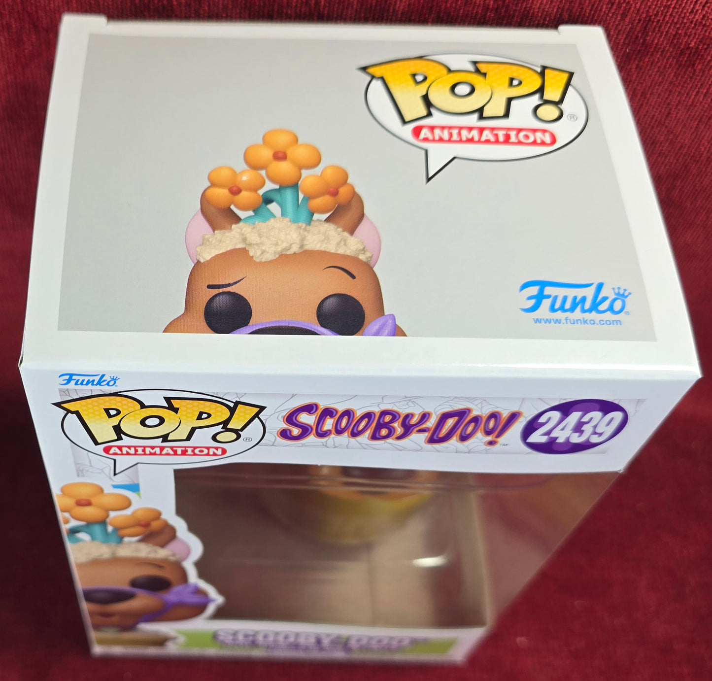 Funko! Television: Scooby-Doo  # 2439 (Nib)
With pop protector