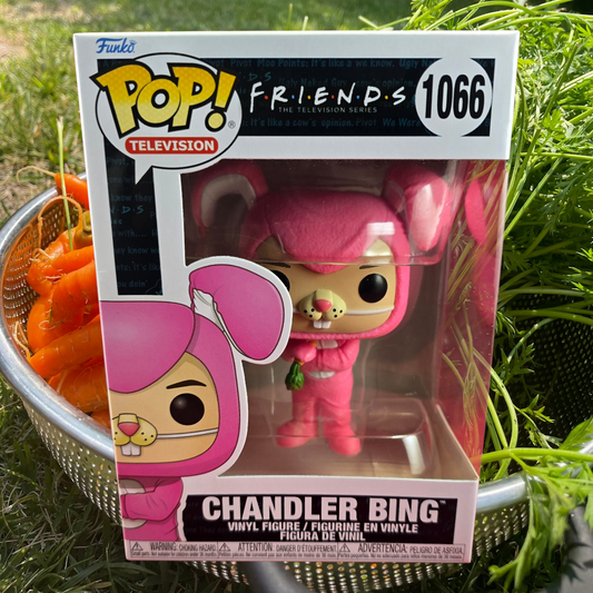 Chandler Bing funko # 1066 (nib) With a pop protector