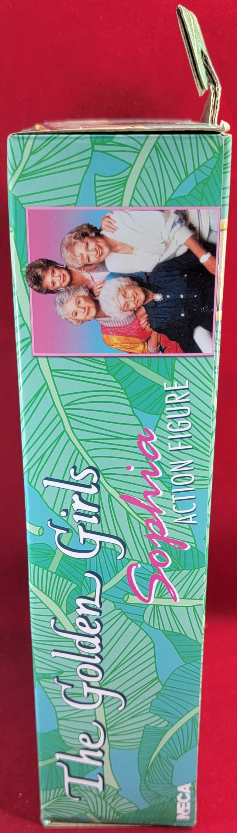 Sophia action figure (nib)