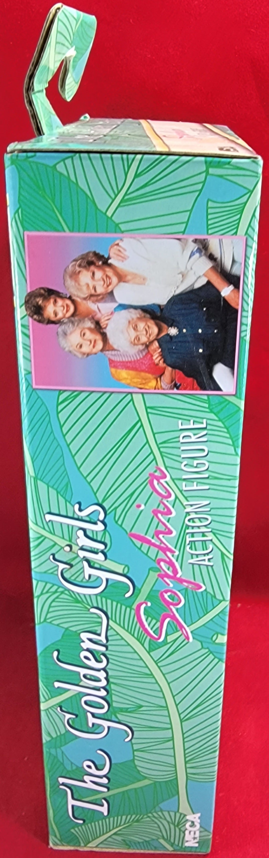 Sophia action figure (nib)