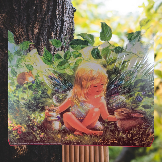 Best friends 550 piece 2002 puzzle (nib)
brand new sunsout 550 piece jigsaw puzzle by Mary Baxter st. Clair 1996. puzzle has a little fairy girl surrounded by natures pets sitting in the grass. item is brand new and sealed.