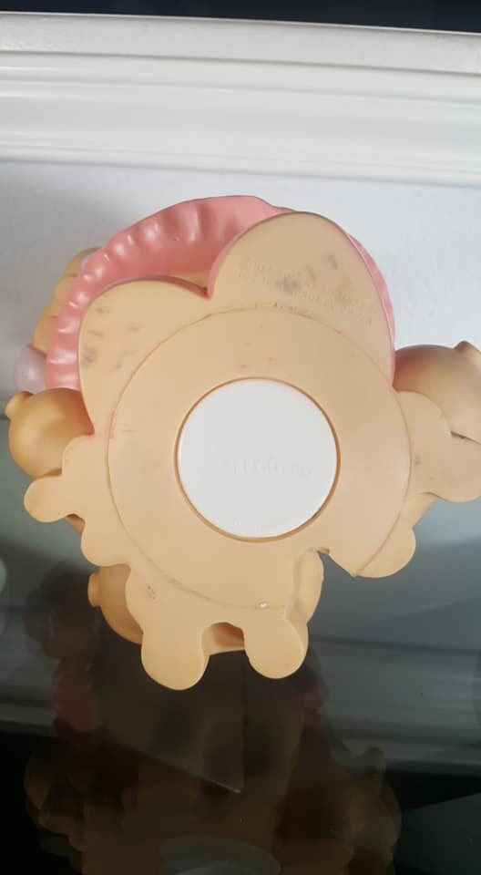 Ms Piggy bank