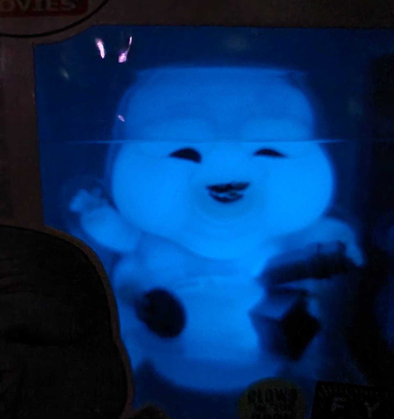 Muncher glow in the dark fye funko exclusive # 929 (nib)